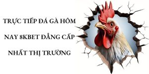 Trực tiếp đá gà hôm nay